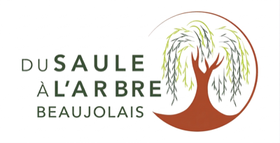 Logo Du Saule à l'Arbre